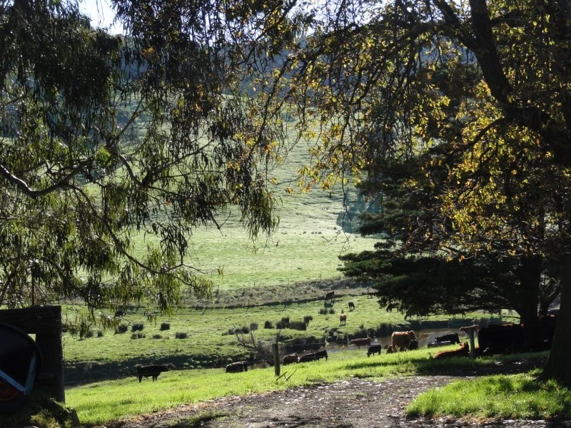 208 Bechers Rd, Welshpool VIC 3966