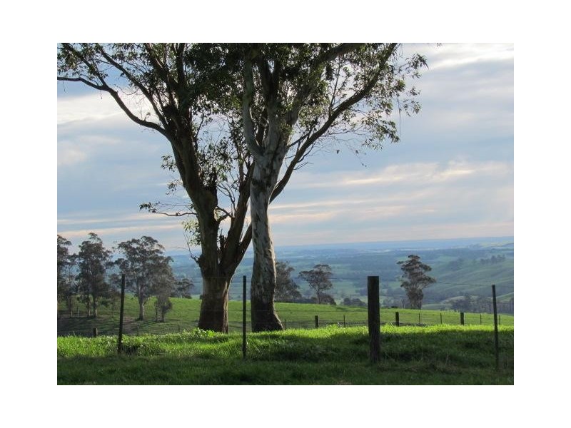 Lot 3 Warragul Korumburra Road, Mountain View VIC 3988