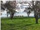 Lot 3 Warragul Korumburra Road, Mountain View VIC 3988