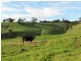 Lot 3 Warragul Korumburra Road, Mountain View VIC 3988