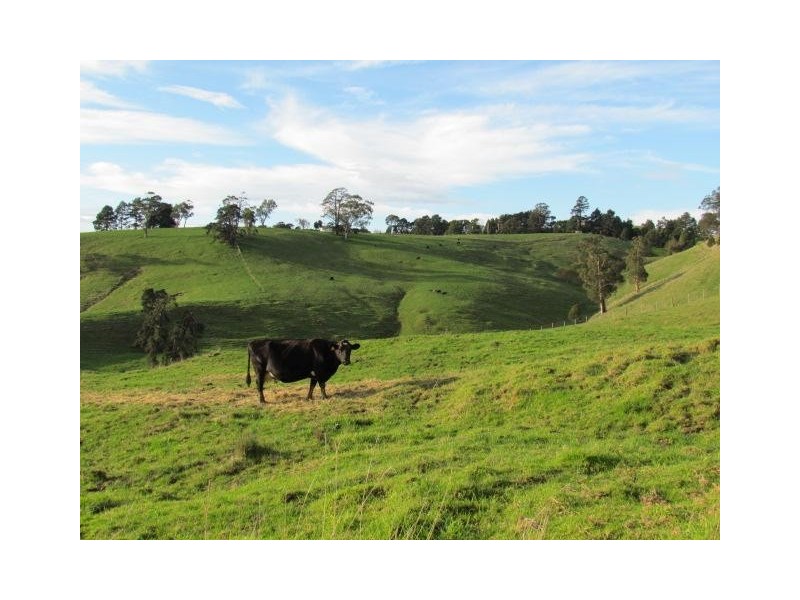 Lot 3 Warragul Korumburra Road, Mountain View VIC 3988