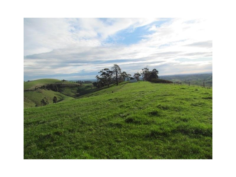 Lot 3 Warragul Korumburra Road, Mountain View VIC 3988