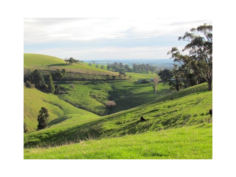 Lot 3 Warragul Korumburra Road, Mountain View VIC 3988