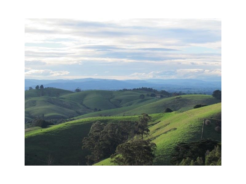 Lot 3 Warragul Korumburra Road, Mountain View VIC 3988