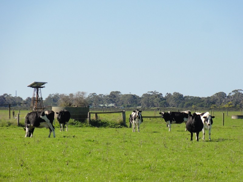 89 Dawsons Road, Alberton VIC 3971