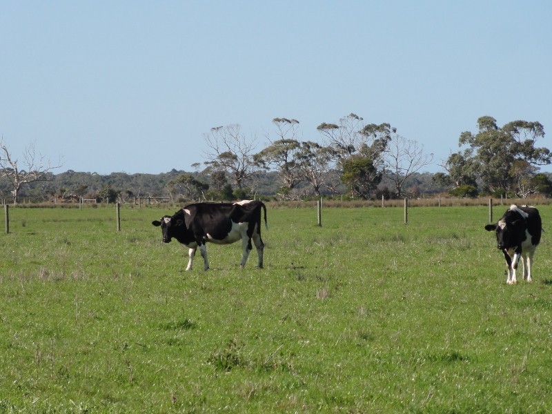 89 Dawsons Road, Alberton VIC 3971