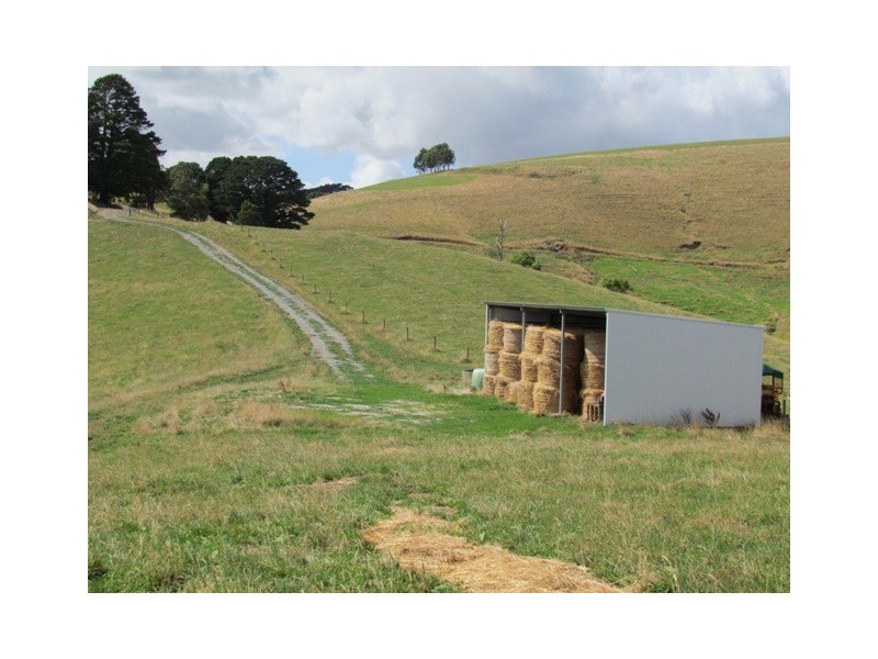 Lot 2/821 Mountain View Road, Mountain View VIC 3988