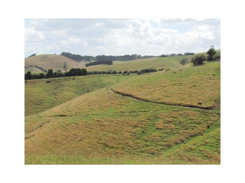 Lot 2/821 Mountain View Road, Mountain View VIC 3988