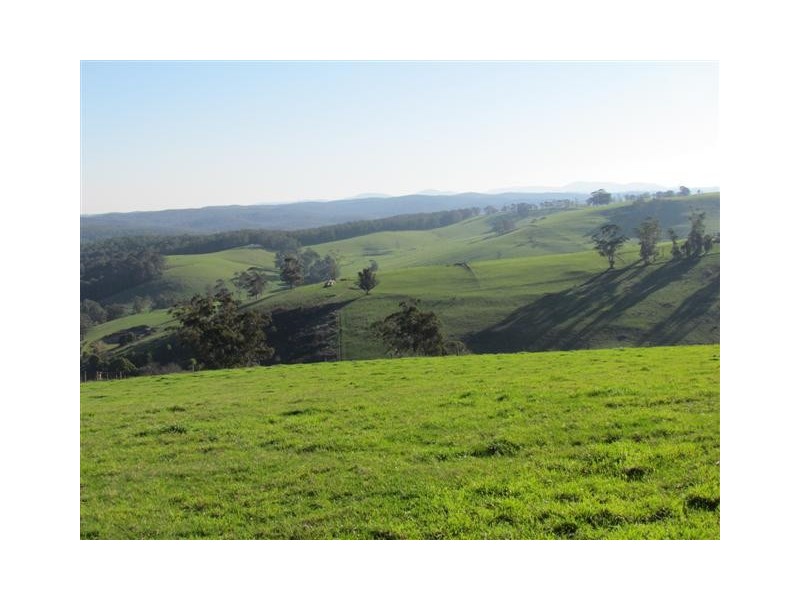 100 Paynters Road, Hill End VIC 3825