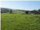 100 Paynters Road, Hill End VIC 3825