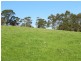100 Paynters Road, Hill End VIC 3825