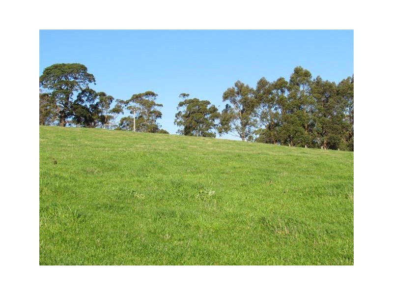 100 Paynters Road, Hill End VIC 3825