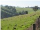 100 Paynters Road, Hill End VIC 3825