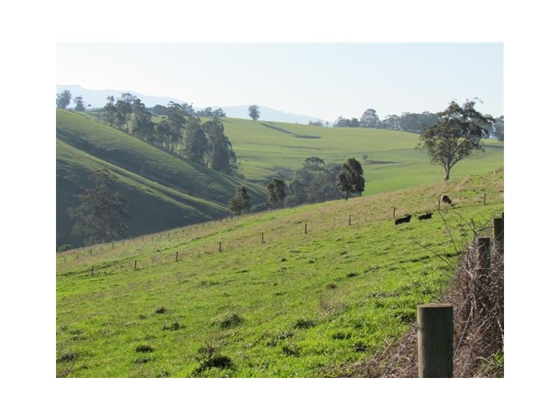100 Paynters Road, Hill End VIC 3825