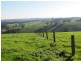 100 Paynters Road, Hill End VIC 3825