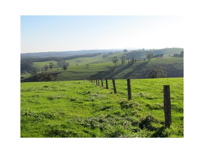 100 Paynters Road, Hill End VIC 3825