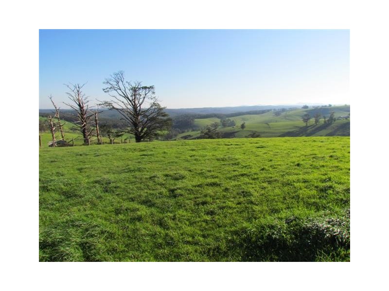 100 Paynters Road, Hill End VIC 3825