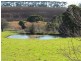 380 Saviges Road, Thorpdale VIC 3835