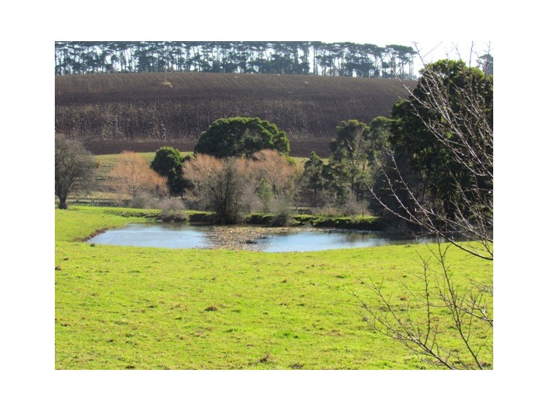 380 Saviges Road, Thorpdale VIC 3835