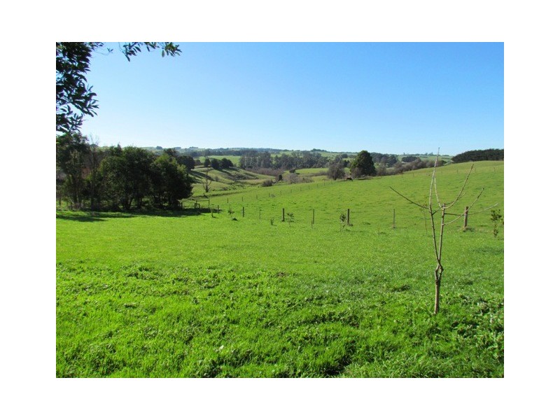 380 Saviges Road, Thorpdale VIC 3835