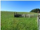 380 Saviges Road, Thorpdale VIC 3835