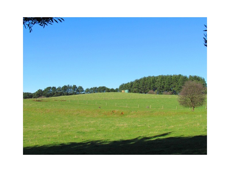 380 Saviges Road, Thorpdale VIC 3835