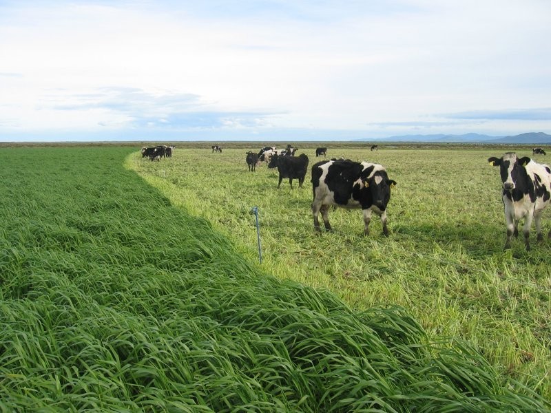 78 James Rd, Welshpool VIC 3966