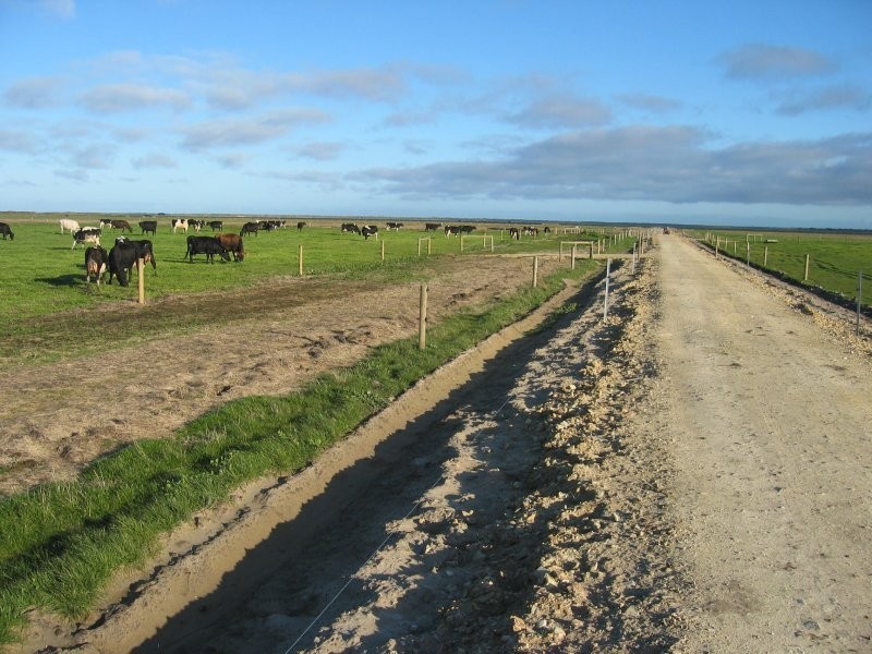 78 James Rd, Welshpool VIC 3966