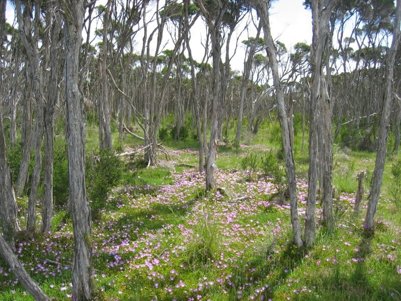 78 James Rd, Welshpool VIC 3966