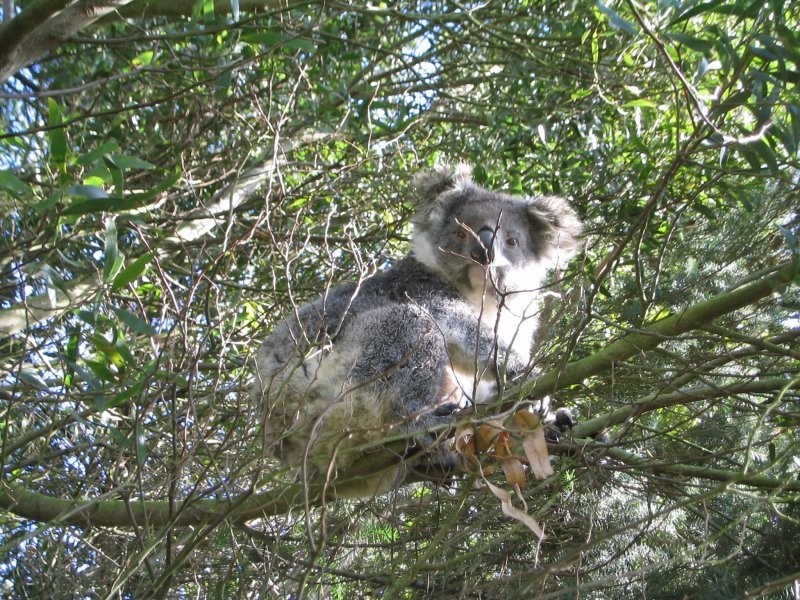 78 James Rd, Welshpool VIC 3966