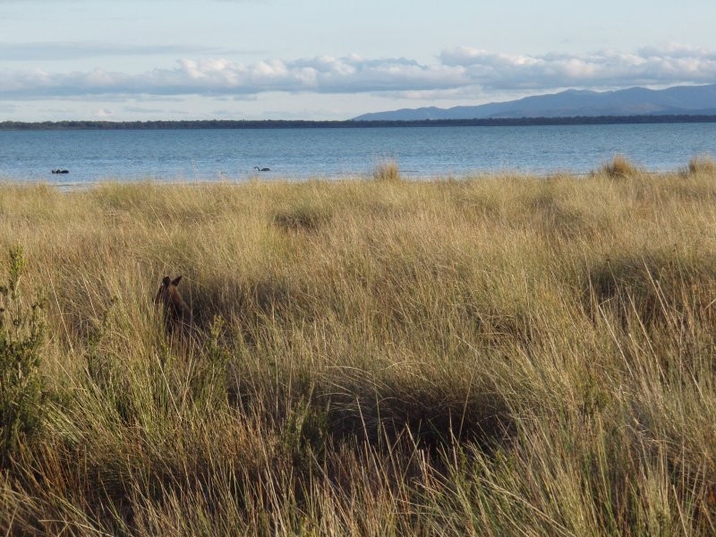 78 James Rd, Welshpool VIC 3966