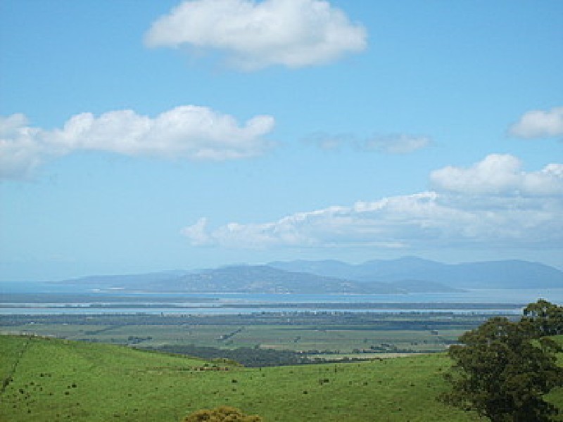 716 Hedley Range Rd, Binginwarri VIC 3966