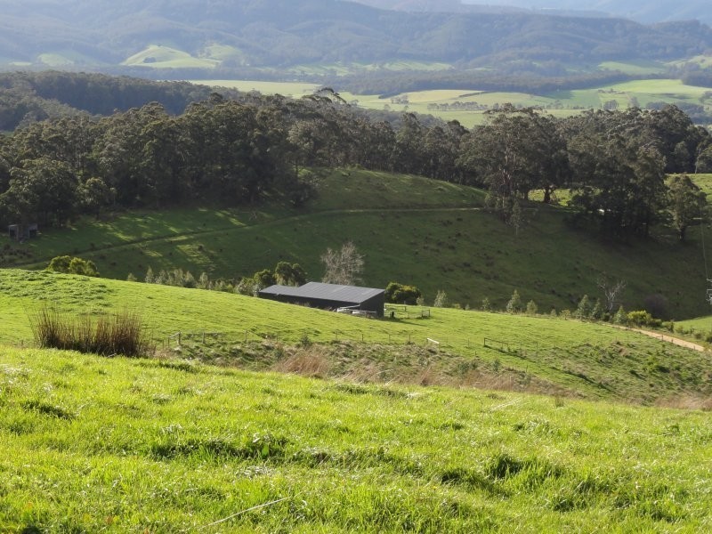 716 Hedley Range Rd, Binginwarri VIC 3966
