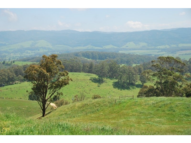 716 Hedley Range Rd, Binginwarri VIC 3966