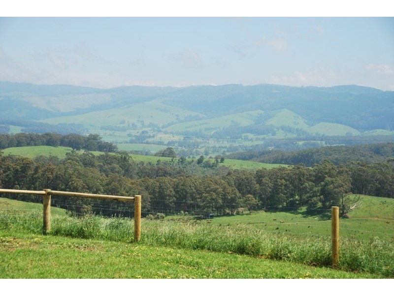 716 Hedley Range Rd, Binginwarri VIC 3966