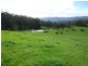 716 Hedley Range Rd, Binginwarri VIC 3966