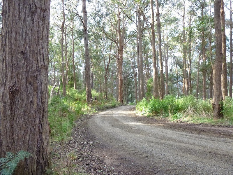716 Hedley Range Rd, Binginwarri VIC 3966