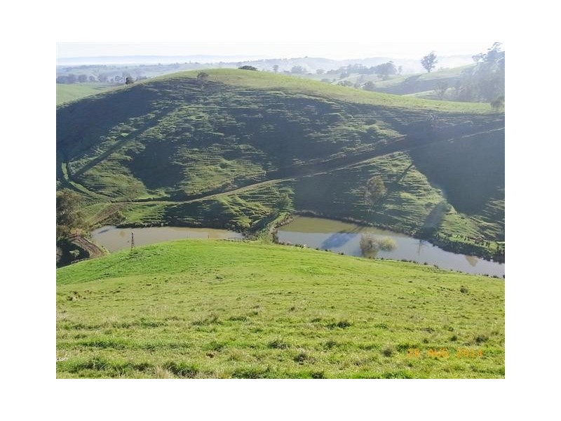 130 Curwen Road, Mountain View VIC 3988