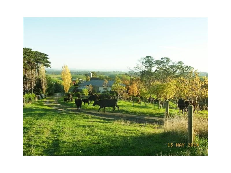 130 Curwen Road, Mountain View VIC 3988