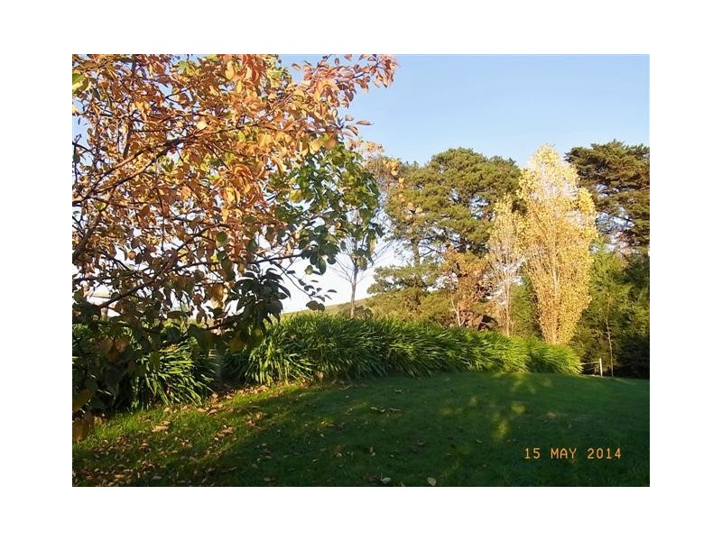 130 Curwen Road, Mountain View VIC 3988