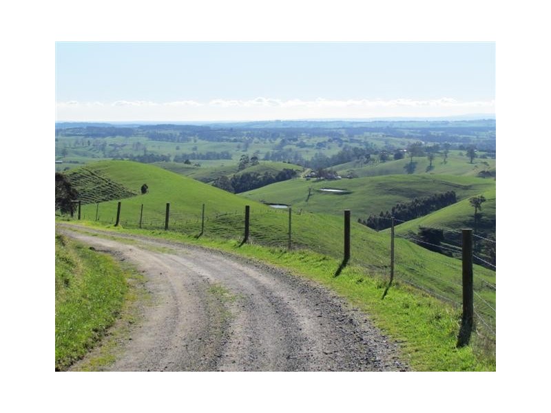 130 Curwen Road, Mountain View VIC 3988