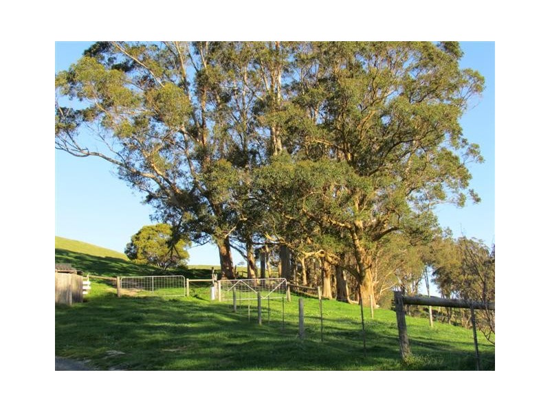 130 Curwen Road, Mountain View VIC 3988