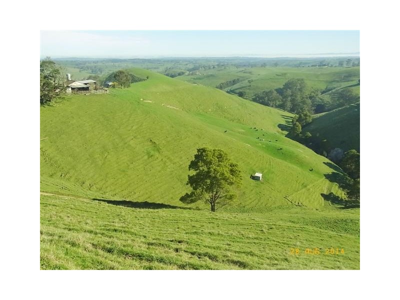 130 Curwen Road, Mountain View VIC 3988