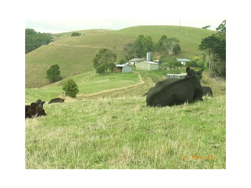 130 Curwen Road, Mountain View VIC 3988