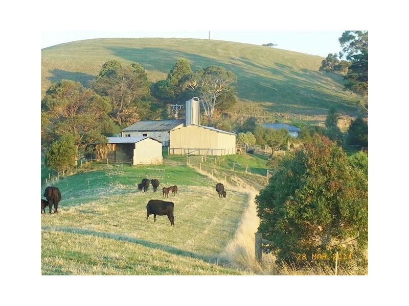 130 Curwen Road, Mountain View VIC 3988