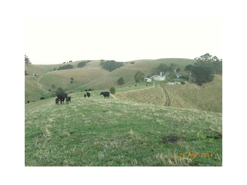 130 Curwen Road, Mountain View VIC 3988