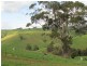 75 Fitzgeralds Road, Poowong VIC 3988