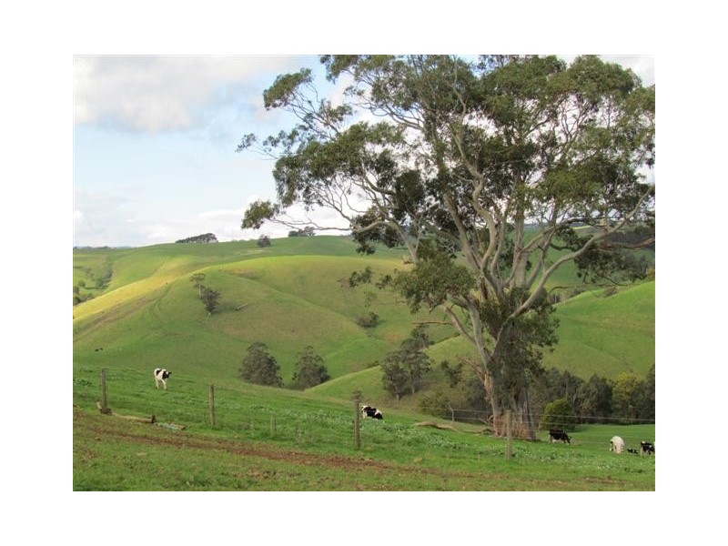 75 Fitzgeralds Road, Poowong VIC 3988