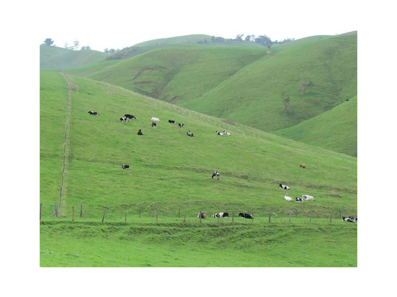 75 Fitzgeralds Road, Poowong VIC 3988