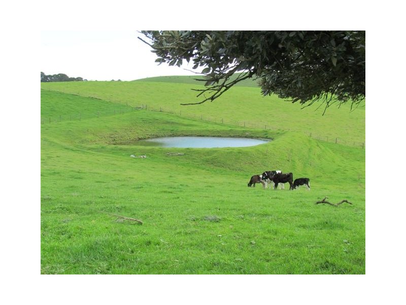 75 Fitzgeralds Road, Poowong VIC 3988